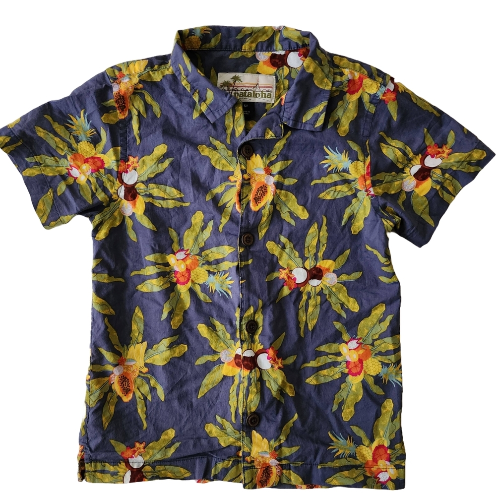 Patagonia Blue and Green Button Down Shirt Pataloha Collection
